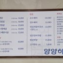 양양하다 이미지