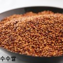 경희양지한의원 이미지