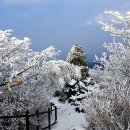 금대목장 이미지