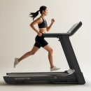 서현역점 스포애니 주)케이디스포츠 | 생활건강정보: “왜 운동이 우리 삶에 꼭 필요할까?” #서현역헬스장 #서현역PT