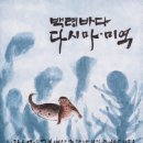 서해디자인