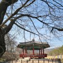 효공원2(20036) | [당진 여행] 면천 힐링 코스 🍃 군자정 &amp; 안샘 &amp; 대숲 바람길 솔직후기 (영랑효공원 산책)