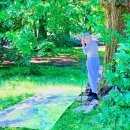 센트럴파크 6 이미지