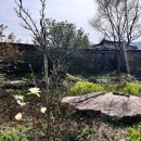 죽연마을회관 앞 이미지