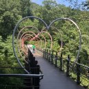 홍시와 똘마니들 | 32