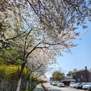 월미로189번길 이미지