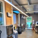 골든힐(Golden Hill) 이미지