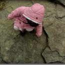 반구대암각화펜션
