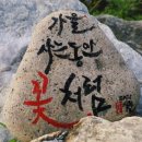 김화자농장 이미지