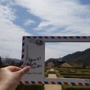 호텔욜로(YOLO) 이미지