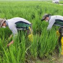 수원-1994 이미지