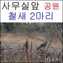 삼덕공원 앞-2 이미지