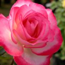 사시사철-풍요 이미지