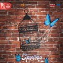 청강문화산업대학교 | 제19회 대학생뮤지컬페스티벌 청강문화산업대학교 &lt;스프링어웨이크닝&gt; 관람 후기