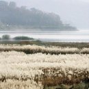 호반으로 여행 이미지