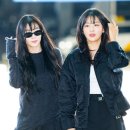 아이린헤어 이미지