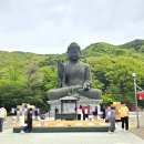 법인자연심