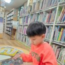꿈을이루는작은도서관 | 도서관) 꿈을 이루는 작은 도서관 (마포)