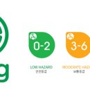 할로오