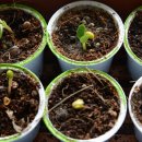 밸리민박 이미지