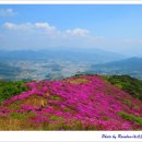 아영면 일대마을 이미지