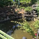 오아시스휴양펜션 이미지