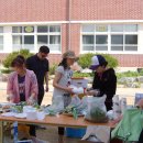 약목초교 이미지