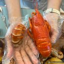 피어22 | [제주 한림읍] 재방문한 제주도 한림 금능 딱새우찜 피어22 솔직후기