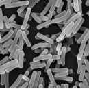 천안제일약국 이미지