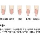 제일아트비젼 이미지