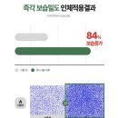 오투 | 폼클렌징 추천 속당김 없는 SY코스메틱스 프로시글로우 오투 클렌저 + 선크림 후기