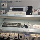 신PC존 | 니토리 롯데몰 은평점 나들이 살림은 장비빨! 주방용품 &amp; 수납 정리템 싹쓸이 리뷰