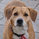 의정부 24시 IU 동물병원 이미지