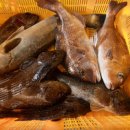 와따좌대낚시터 이미지