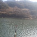 월곡 낚시터 이미지