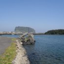 오조 Daum카페