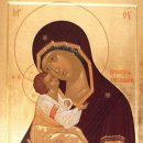 영창축사 이미지