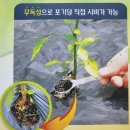 우리농약사 이미지