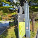 올레길 하천형 3코스 | [걷기 좋은 길] 구로올레길 하천형