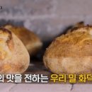 청춘화덕