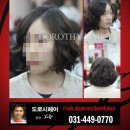 헤어도로시 이미지