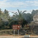 재즈마을리조트 | [12월 제주여행day1] 제주 김녕해수욕장 , 제주 해비치 호텔 체크인 , 성산난산리식당 1일차 마지막...