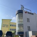 일등병원 | 💍결혼 프리패스, 일등 신랑감 레시피😆 남자 가다실9가 1차 접종 후기💉