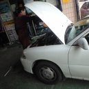 미래카토피아 이미지