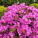 THE채움공인중개사사무소 이미지