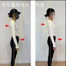 모모필라테스 - 광명시 양지로 19 | 모모필라테스