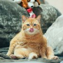 응수농장 이미지