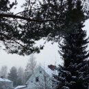 언덕아래집 이미지