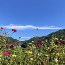 양평펜션베네 이미지