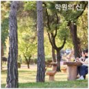 영남대학교 이미지